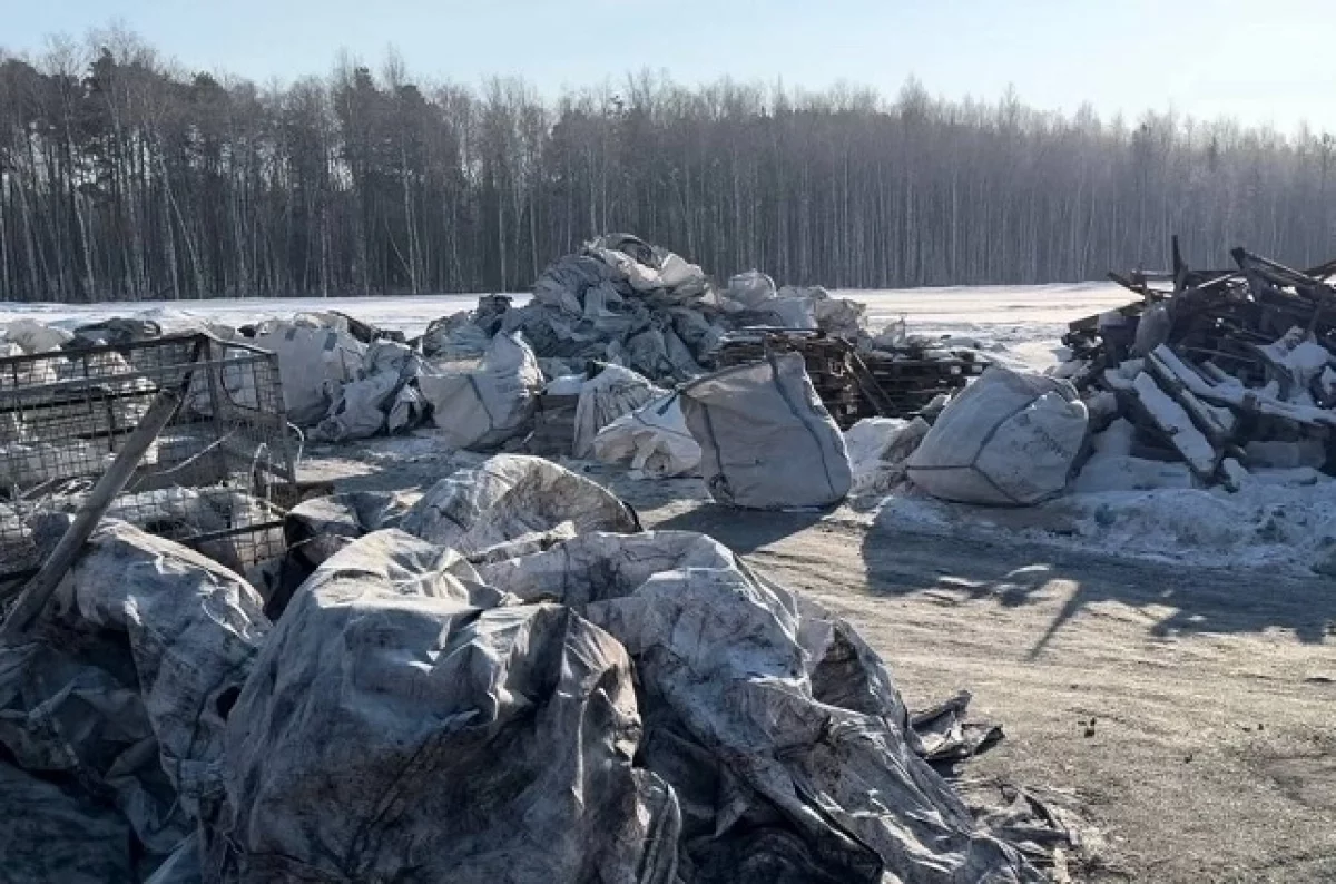 Экологи пресекли незаконный выброс мусора в Шарташском лесопарке-0