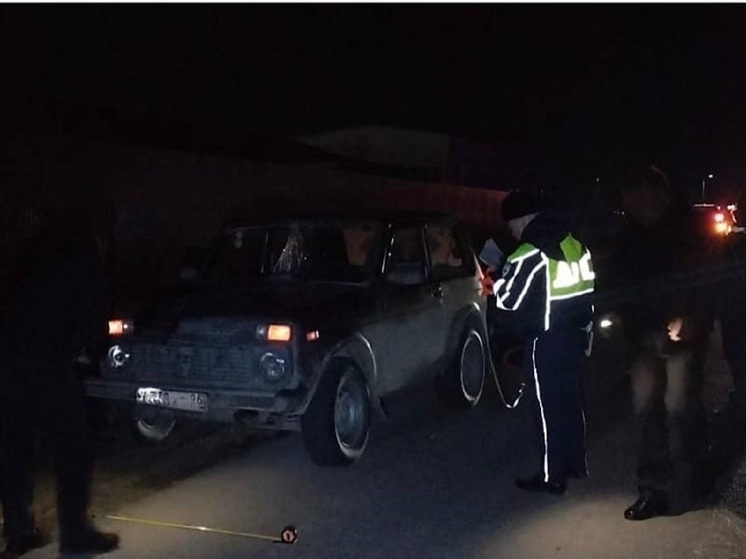 В Екатеринбурге при наезде автомобиля «Нива» погиб пешеход