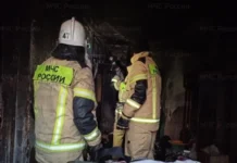 Герои МЧС России оперативно ликвидировали 17 возгораний в Свердловской области geroi mchs rossii operativno likvidirovali 17 vozgoranij v sverdlovskoj oblasti-uralnovosti-ru-174271288900-0