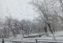 ГИБДД Екатеринбурга рекомендует бдительность на дорогах Свердловской области gibdd ekaterinburga rekomenduet bditelnost na dorogah sverdlovskoj oblasti-uralnovosti-ru-174235512700-0