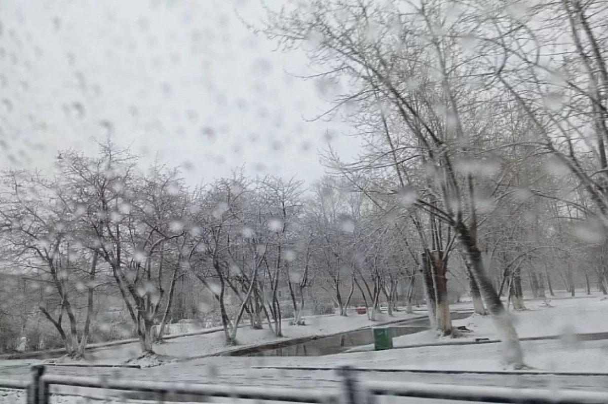 ГИБДД Екатеринбурга рекомендует бдительность на дорогах Свердловской области-0