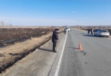 ГИБДД Свердловской области расследует ДТП с LADA Priora в Пышме gibdd sverdlovskoj oblasti rassleduet dtp s v pyshme-uralnovosti-ru-174340101500-0