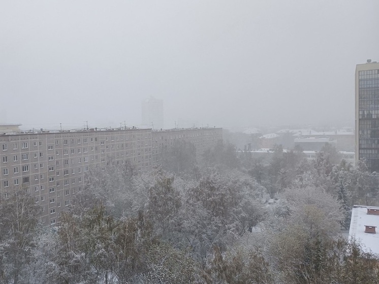 Свердловчан экстренно предупредили о мощном снегопаде