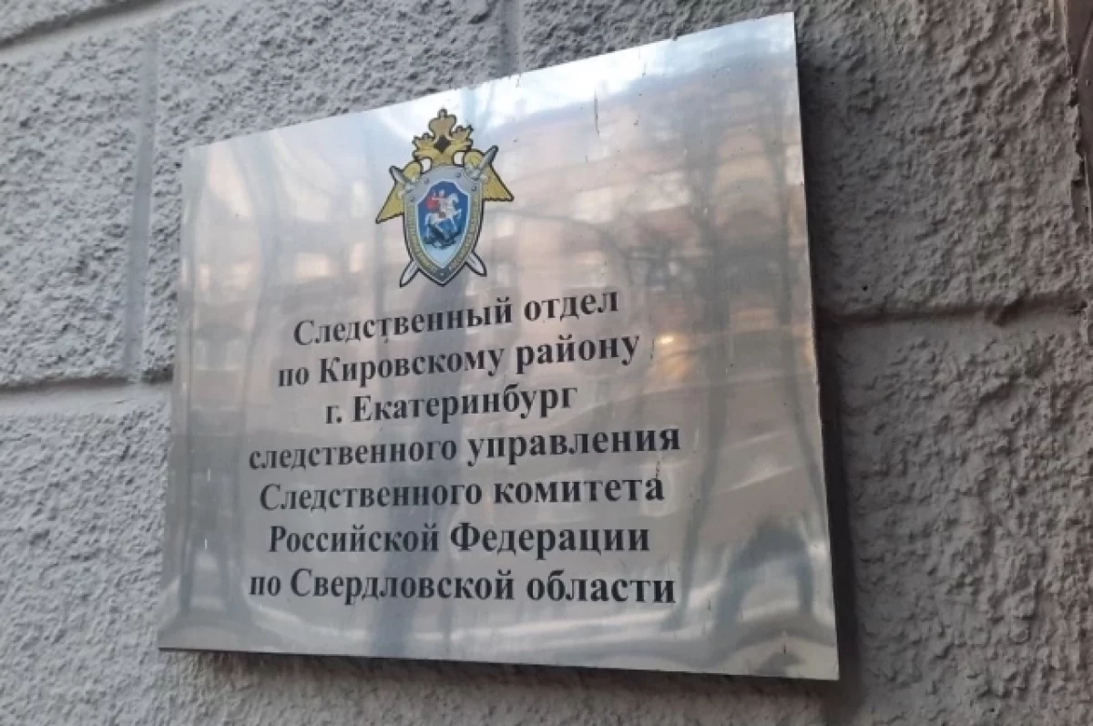 Правоохранители пресекли преступную деятельность группы молодых людей в Екатеринбурге-0