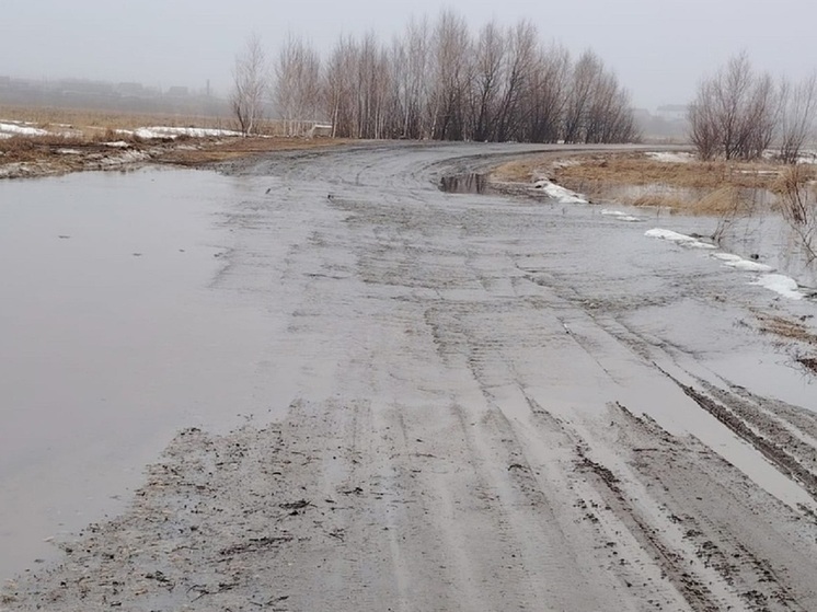 Дороги в селе и между деревнями подтопило в Шумихинском округе