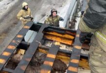 Слаженные действия МЧС спасли дом на улице Лесной в Екатеринбурге slazhennye dejstviya mchs spasli dom na ulicze lesnoj v ekaterinburge-uralnovosti-ru-174211640000-0