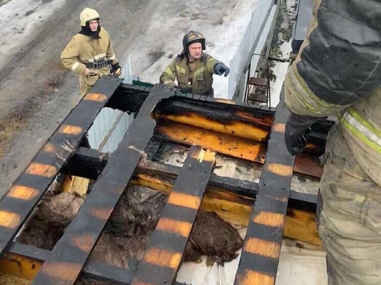 В Екатеринбурге горел дом в саду на улице Лесной