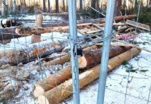 Сохранение 8 гектаров березовой рощи в Академическом районе объединило жителей Екатеринбурга sohranenie 8 gektarov berezovoj roshhi v akademicheskom rajone obedinilo zhitelej ekaterinburga-uralnovosti-ru-174192674000-0