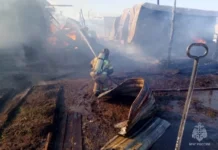 Спасатели Свердловской области оперативно ликвидировали 14 пожаров за сутки spasateli sverdlovskoj oblasti operativno likvidirovali 14 pozharov za sutki-uralnovosti-ru-174288129000-0