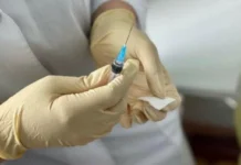 Средний Урал встречает сезон активной профилактики клещевого энцефалита с новыми вакцинами srednij ural vstrechaet sezon aktivnoj profilaktiki kleshhevogo enczefalita s novymi vakczinami-uralnovosti-ru-174254253400-0