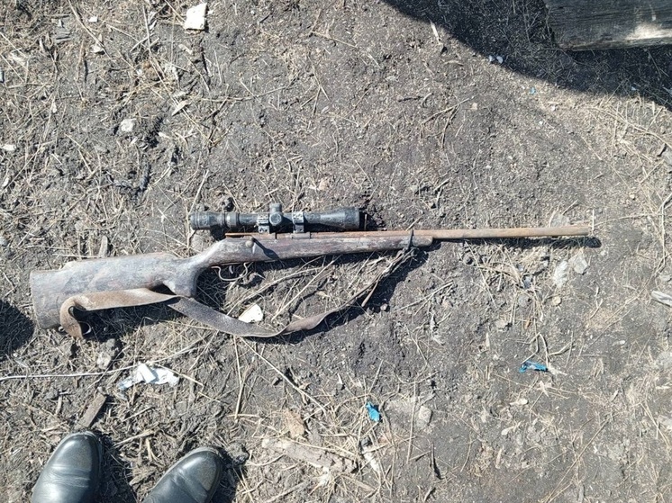 Незаконно хранящееся оружие и патроны изъяли у жителя Курганской области