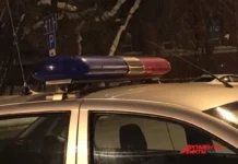 В Полевском ГИБДД оперативно задержала водителя Datsun после погони v polevskom gibdd operativno zaderzhala voditelya posle pogoni-uralnovosti-ru-174262556300-0