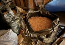 В Юргамышском районе пресечено незаконное хранение 5,5 кг каннабиса v yurgamyshskom rajone presecheno nezakonnoe hranenie 55 kg kannabisa-uralnovosti-ru-174300539500-0