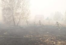 1200 патрульных групп и авиация МИ-8 БЕ-200 ЧС оберегают Курганскую область от огня 1200 patrulnyh grupp i aviacziya mi8 be200 chs oberegayut kurganskuyu oblast ot ognya-uralnovosti-ru-174385149600-0