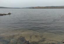 Активные действия Департамента АПК и Росрыболовства в Петуховском районе и Алакуле aktivnye dejstviya departamenta apk i rosrybolovstva v petuhovskom rajone i alakule-uralnovosti-ru-174471667000-0