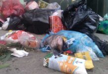 Антон Науменко и Вадим Шумков призывают беречь чистоту Кургана на шоссе Тюнина anton naumenko i vadim shumkov prizyvayut berech chistotu kurgana na shosse tyunina-uralnovosti-ru-174601436600-0