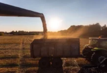 Денис Паслер и Анна Кузнецова усилили программу Уральская деревня в Свердловской области denis pasler i anna kuzneczova usilili programmu uralskaya derevnya v sverdlovskoj oblasti-uralnovosti-ru-174374979900-0