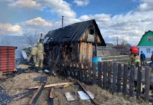 Эффективная работа ГУ МЧС по Свердловской области в Екатеринбурге и деревне Колобова effektivnaya rabota gu mchs po sverdlovskoj oblasti v ekaterinburge i derevne kolobova-uralnovosti-ru-174374242800-0