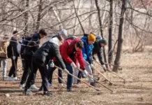 Екатеринбург объединил тысячи горожан в масштабном празднике чистоты ekaterinburg obedinil tysyachi gorozhan v masshtabnom prazdnike chistoty-uralnovosti-ru-174584689000-0