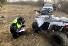 ГИБДД Свердловской области расследует ДТП с квадроциклом Mikilon Hammer в Логиново gibdd sverdlovskoj oblasti rassleduet dtp s kvadrocziklom v loginovo-uralnovosti-ru-174513198100-0