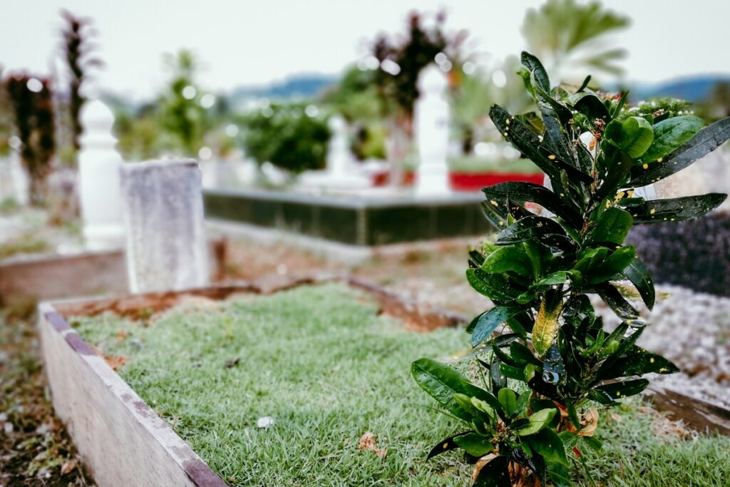 кладбище со скромным участком с зеленью