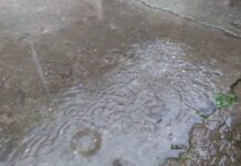 МЧС предлагает Курганской области советы к безопасности при грозах и ветре mchs predlagaet kurganskoj oblasti sovety k bezopasnosti pri grozah i vetre-uralnovosti-ru-174420619700-0