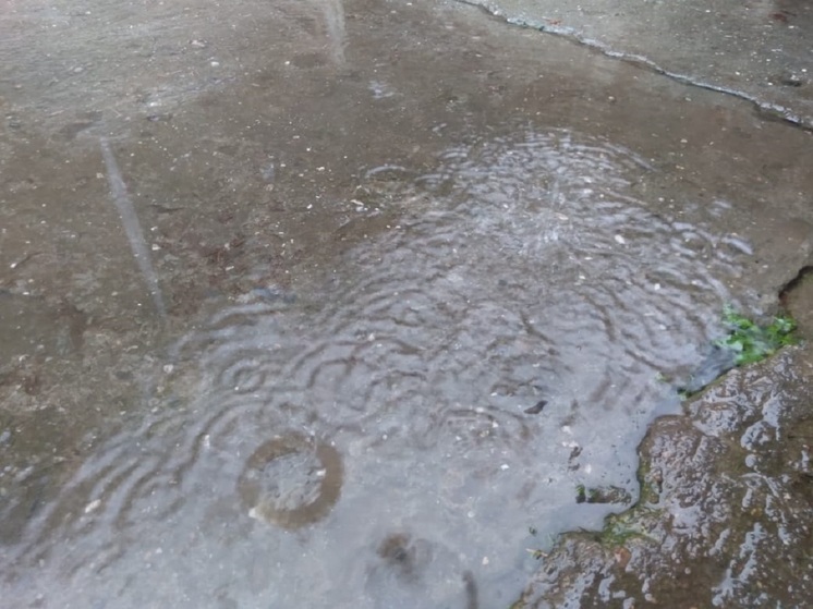 МЧС предупреждает о грозах, дождях и ветре в Курганской области