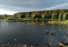 Ревда справилась с подтоплением благодаря контролю Татьяны Клепиковой и ГУ МЧС revda spravilas s podtopleniem blagodarya kontrolyu tatyany klepikovoj i gu mchs-uralnovosti-ru-174598870500-0