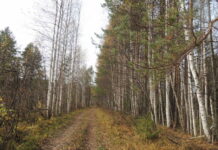 Роспотребнадзор Свердловской области увеличивает эффективность защиты от клещей rospotrebnadzor sverdlovskoj oblasti uvelichivaet effektivnost zashhity ot kleshhej-uralnovosti-ru-174598873300-0