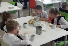 Россельхознадзор пресек нарушения ООО Каскад в школьном питании Екатеринбурга rosselhoznadzor presek narusheniya ooo kaskad v shkolnom pitanii ekaterinburga-uralnovosti-ru-174357564400-0