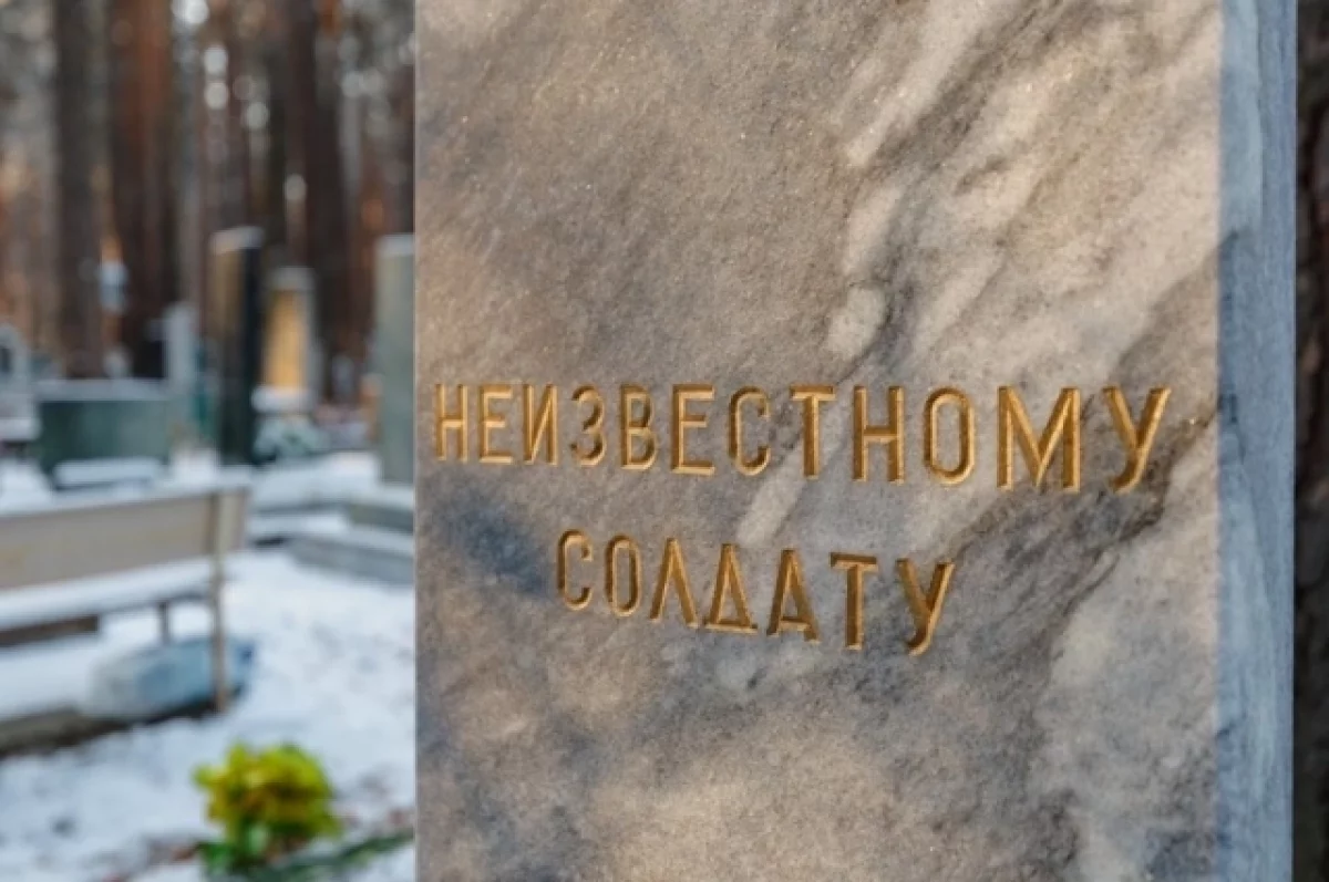 Студенты Екатеринбурга приводят в порядок Могилу Неизвестного Солдата к 9 Мая-0