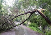 Свердловская область - МЧС рекомендует бдительность и осторожность при непогоде sverdlovskaya oblast mchs rekomenduet bditelnost i ostorozhnost pri nepogode-uralnovosti-ru-174524139600-0