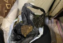 УМВД России по Курганской области изъяло крупную партию каннабиса в Шумихе umvd rossii po kurganskoj oblasti izyalo krupnuyu partiyu kannabisa v shumihe-uralnovosti-ru-174384783300-0