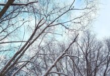 Внимание на трассе Екатеринбург – Серов ГАИ призывает водителей к бдительности vnimanie na trasse ekaterinburg serov gai prizyvaet voditelej k bditelnosti-uralnovosti-ru-174400860300-0