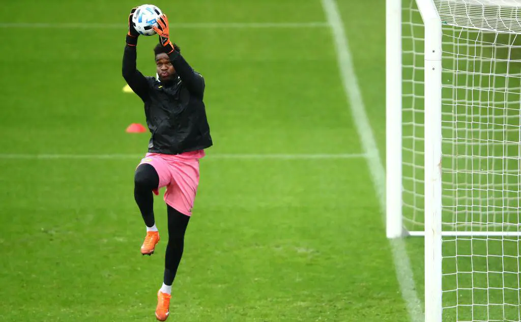 Фабрис Ондоа (Dean Mouhtaropoulos / Getty Images)