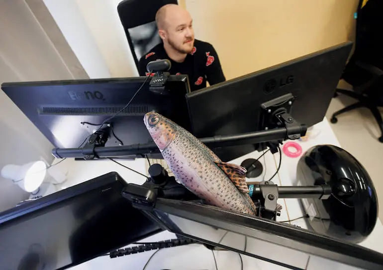 Бизнес активно ищет пентестеров и белых хакеров из SolidLab и Positive Technologies-0