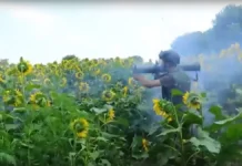 Бои под Покровском проходят между «Отважными» и ВСУ за Сумские рубежи boi pod pokrovskom prohodyat mezhdu otvazhnymi i vsu za sumskie rubezhi-uralnovosti-ru-174734037200-0