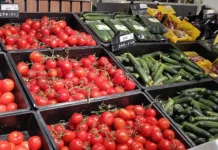 Цены на свеклу, морковь и лук выросли, а на огурцы и помидоры снизились czeny na sveklu morkov i luk vyrosli a na ogurczy i pomidory snizilis-uralnovosti-ru-174789016400-0