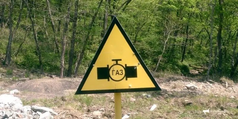 Тематическая иллюстрация ИА PrimaMedia