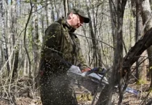 Денис Паслер и Алексей Орлов благоустраивают Шарташский лесопарк в Екатеринбурге denis pasler i aleksej orlov blagoustraivayut shartashskij lesopark v ekaterinburge-uralnovosti-ru-174618085300-0