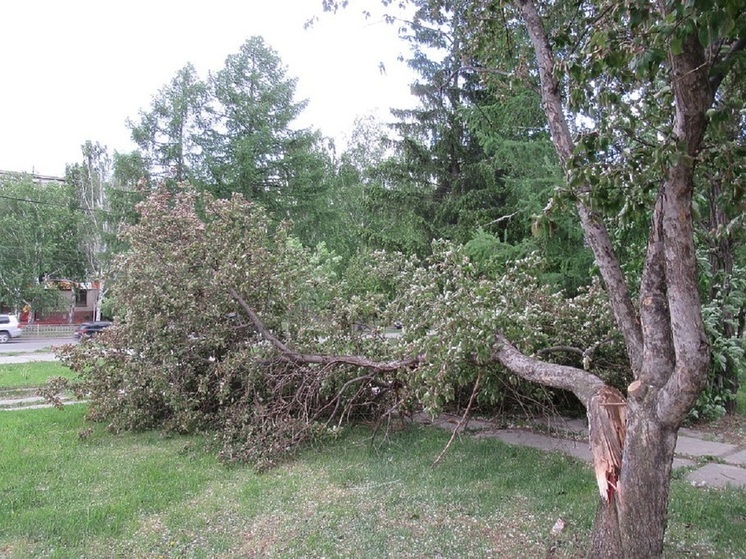 Свердловские спасатели предупредили о сильном ветре 6 мая