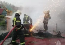 ГУ МЧС РФ предотвратило крупный пожар в Екатеринбурге, пострадали гараж и ГАЗель gu mchs rf predotvratilo krupnyj pozhar v ekaterinburge postradali garazh i gazel-uralnovosti-ru-174701624100-0