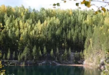 Когда жителей Свердловской области ждет возвращение летнего тепла kogda zhitelej sverdlovskoj oblasti zhdet vozvrashhenie letnego tepla-uralnovosti-ru-174810032600-0