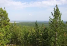 ЛизаАлерт и МЧС спасли Леонида Прокопьевича и вернули его домой lizaalert i mchs spasli leonida prokopevicha i vernuli ego domoj-uralnovosti-ru-174857801700-0