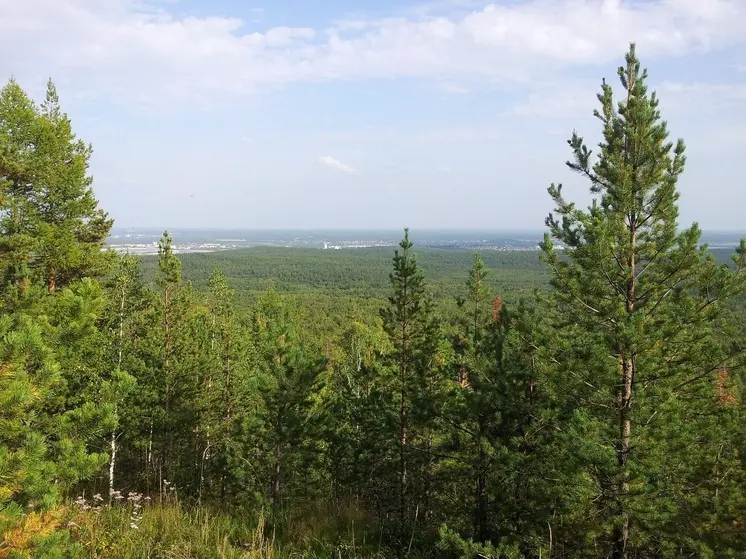 Возле Каменска-Уральского нашли пропавшего 87-летнего мужчину