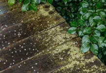 Начало лета в Приморье принесет солнце и ветер с Охотского моря nachalo leta v primore prineset solncze i veter s ohotskogo morya-uralnovosti-ru-174870986000-0