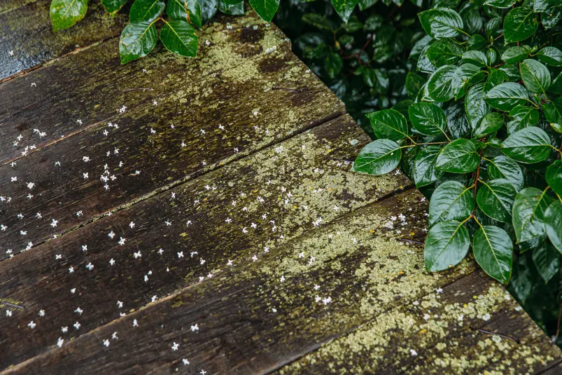 Фото: primamedia.ru