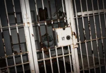 Новая жизнь Черри-Энн Остин-Сэддингтон и Брэдли Тенгроува после HMP The Verne novaya zhizn cherrienn ostinseddington i bredli tengrouva posle -uralnovosti-ru-174778323700-0