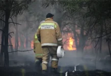 Новое в деле пожара Тунгокоченского района после задержания сотрудников Забайкаллесхоза novoe v dele pozhara tungokochenskogo rajona posle zaderzhaniya sotrudnikov zabajkalleshoza-uralnovosti-ru-174799284600-0
