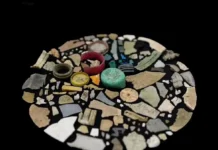 Рекордный прорыв в борьбе с пластиком спасает тонкоклювых буревестников rekordnyj proryv v borbe s plastikom spasaet tonkoklyuvyh burevestnikov-uralnovosti-ru-174807545100-0